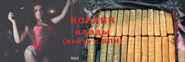 гидропоника Кодинск