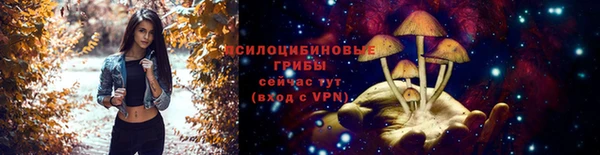 гидропоника Кодинск