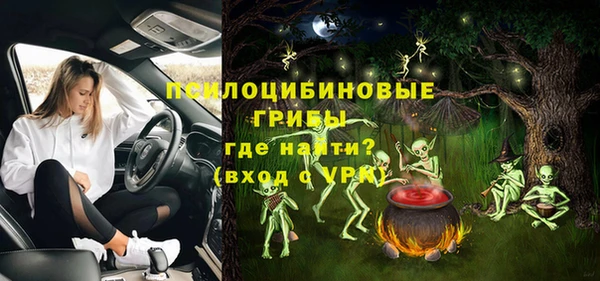 хмурый Козловка