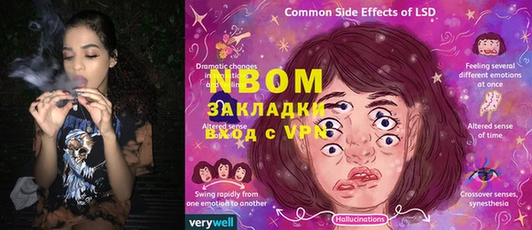 хмурый Козловка