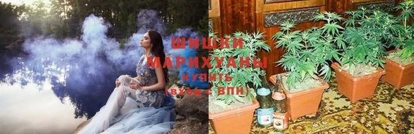 хмурый Козловка
