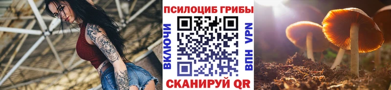 Галлюциногенные грибы Cubensis  Купить закладки  Чёрмоз 